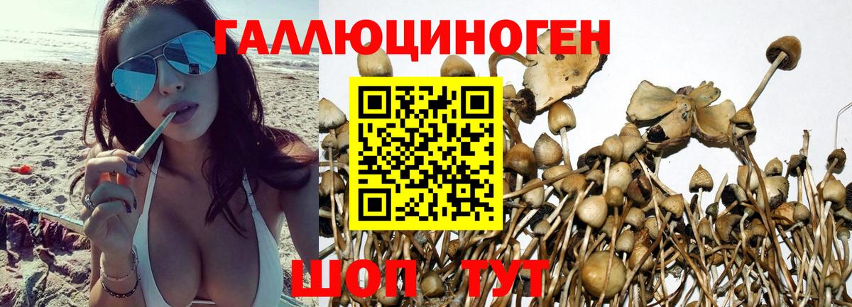 Псилоцибиновые грибы прущие грибы  Псилоцибиновые грибы мицелий  Вход с VPN  Россия 